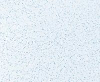 Fibreglass Pool Shells, An In-depth Look - Leisure Pools Australia