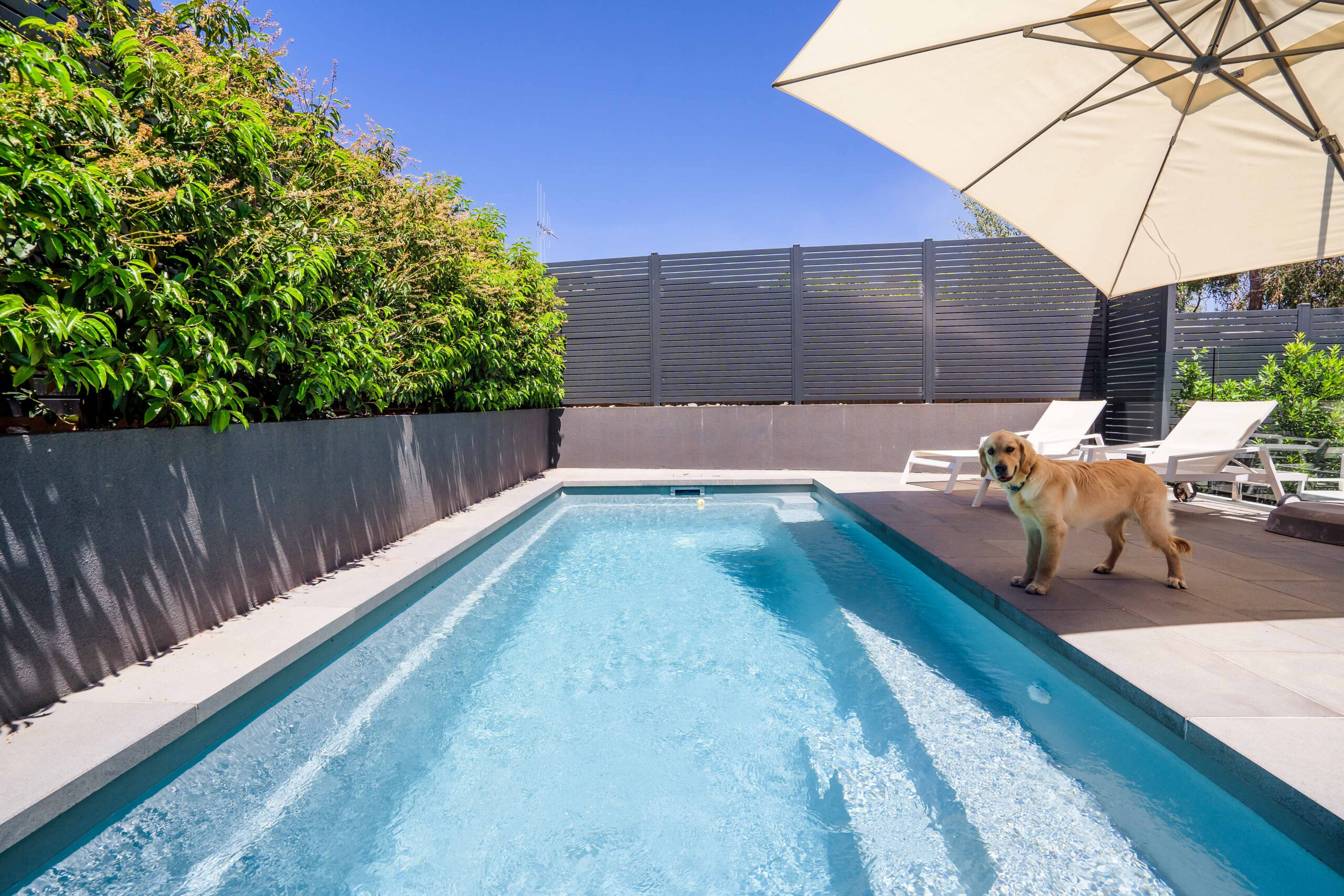 Leisure Pools' Harmony 6 in Silver Grey with a Golden Retriever nearby