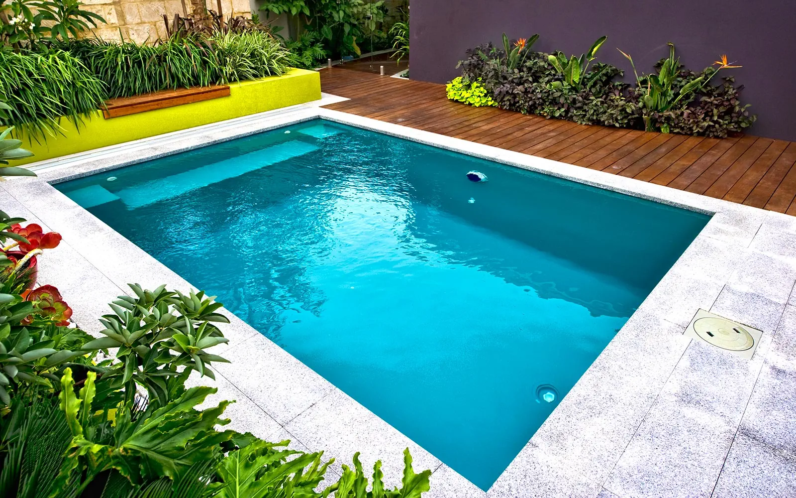 Leisure Pools Platinum Plunge compact fibreglass plunge pool