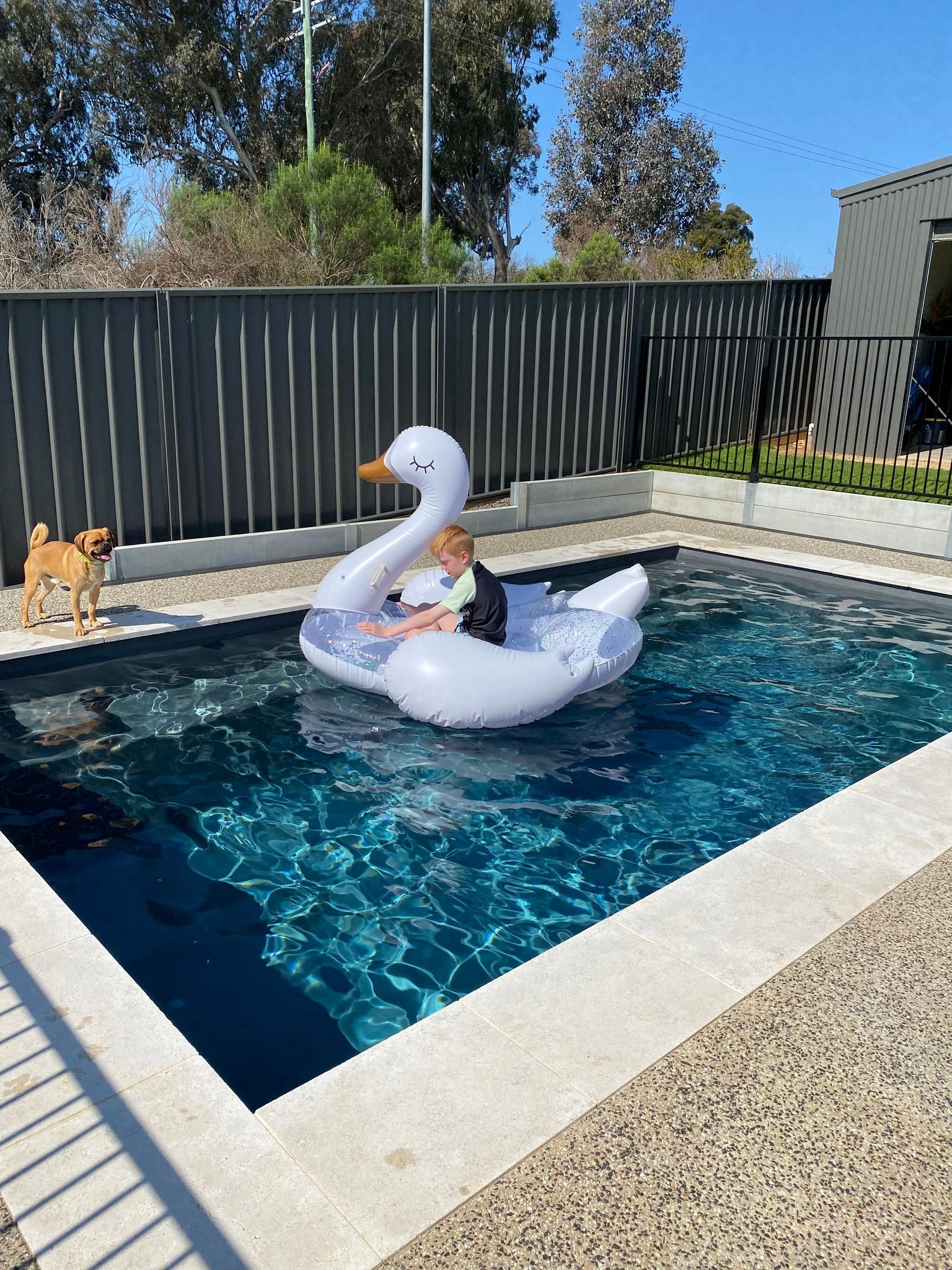 IMG LP AU Reflection Graphite Grey Poolside 2025 002 pool builders in Albury-Wodonga