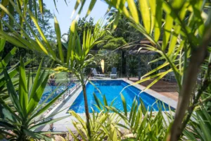 Pool placement and landscaping